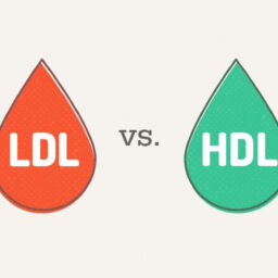 HDL LDL - Καλή-Κακή Χοληστερίνη-Μικροβιολογικό Καλαμάτα - Ρουμπέα Παρασκευή